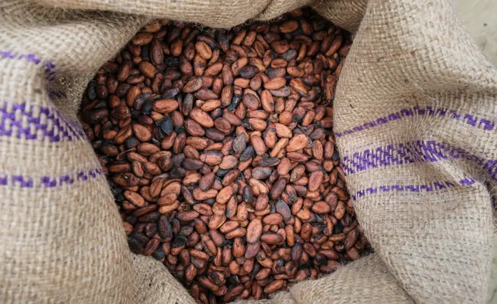 Lindt & Sprüngli now sources 100% of its cocoa as Rainforest Alliance Certified